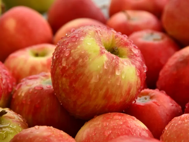 Apples