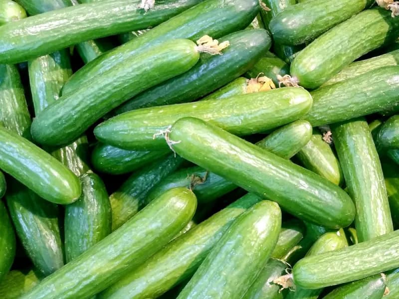 Cucumbers