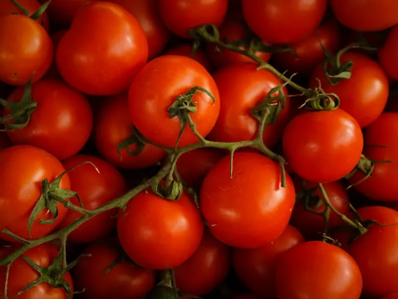 Tomatoes